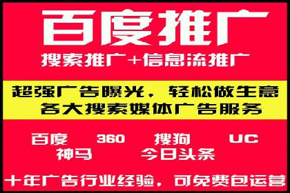 提升网站流量与转化率的关键——关键词竞价排名案例